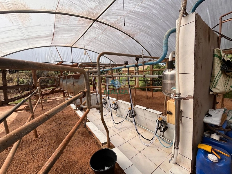PROPRIEDADE RURAL: 17ª foto da galeria de imagens do imóvel