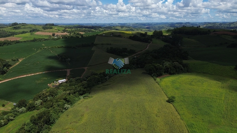ÁREA DE TERRA: 1ª foto da galeria de imagens do imóvel