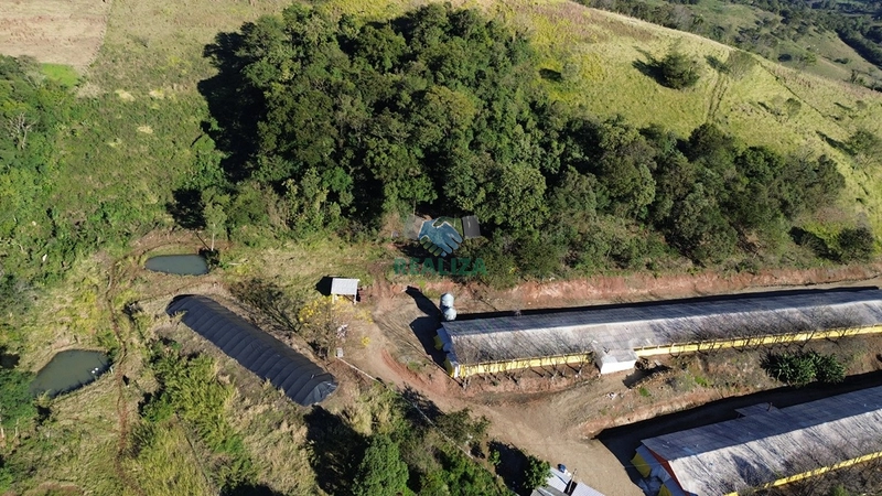 PROPRIEDADE RURAL: 3ª foto da galeria de imagens do imóvel