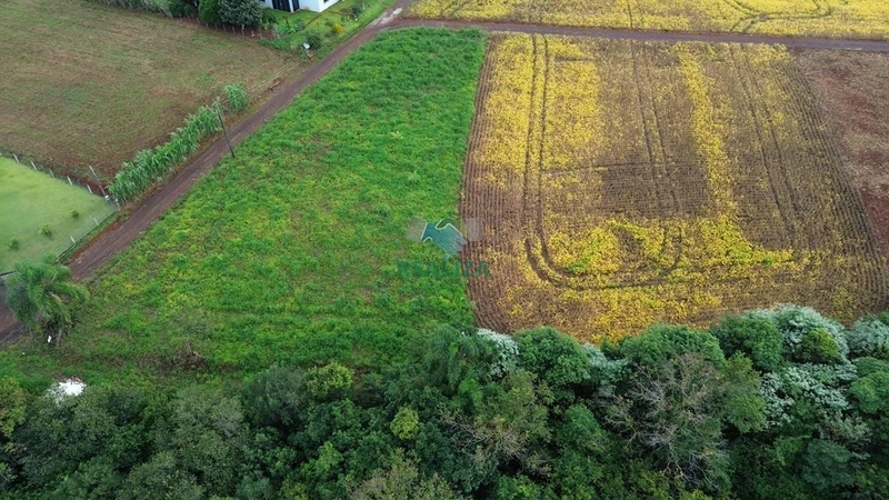 ÁREA DE TERRA: 10ª foto da galeria de imagens do imóvel
