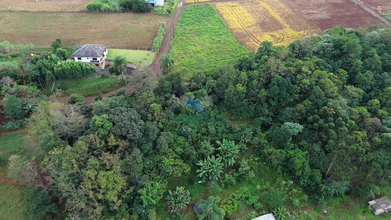ÁREA DE TERRA: 9ª foto da galeria de imagens do imóvel