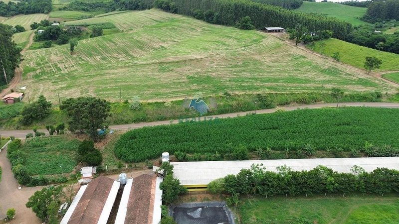 Propriedade Rural: 9ª foto da galeria de imagens do imóvel