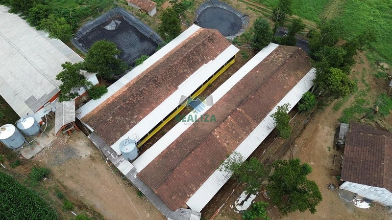 Propriedade Rural: 7ª foto da galeria de imagens do imóvel