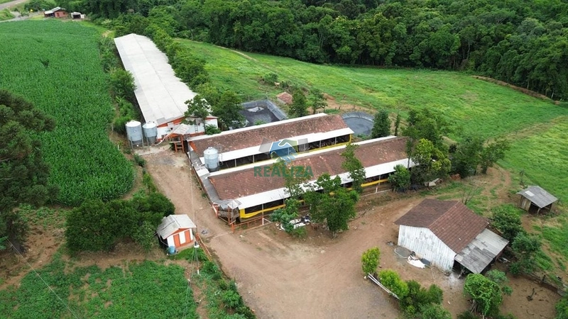 Propriedade Rural: 3ª foto da galeria de imagens do imóvel
