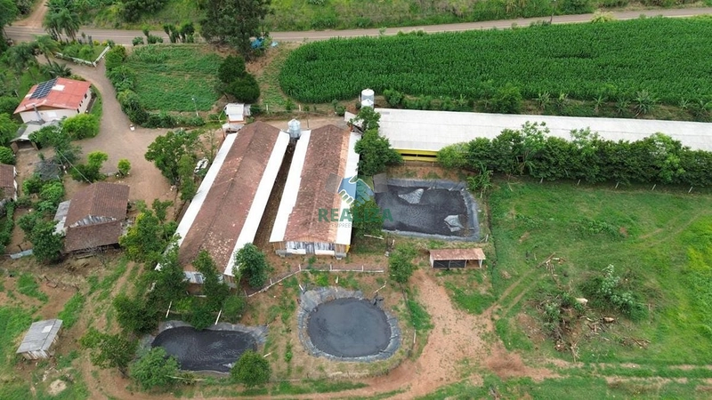 Propriedade Rural: 6ª foto da galeria de imagens do imóvel