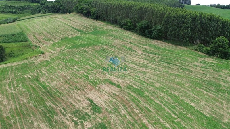 Propriedade Rural: 13ª foto da galeria de imagens do imóvel