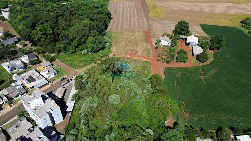 ÁREA DE TERRA: 1ª foto da galeria de imagens do imóvel