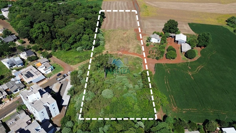 ÁREA DE TERRA: 2ª foto da galeria de imagens do imóvel