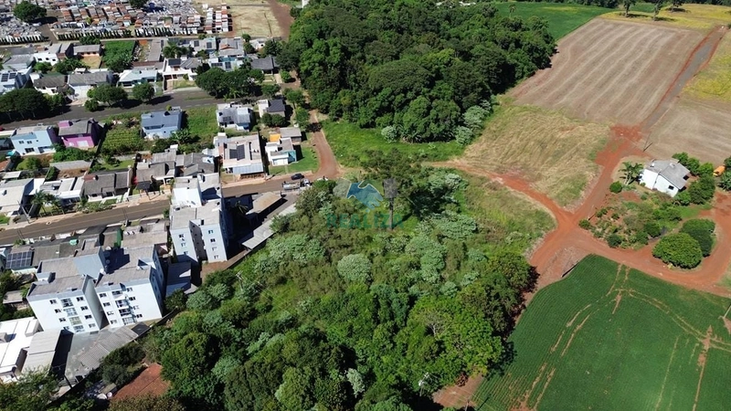 ÁREA DE TERRA: 6ª foto da galeria de imagens do imóvel
