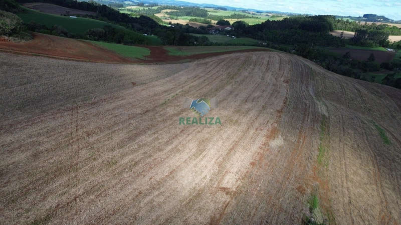 ÁREA DE TERRA: 2ª foto da galeria de imagens do imóvel