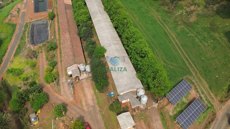 PROPRIEDADE RURAL: 4ª foto da galeria de imagens do imóvel