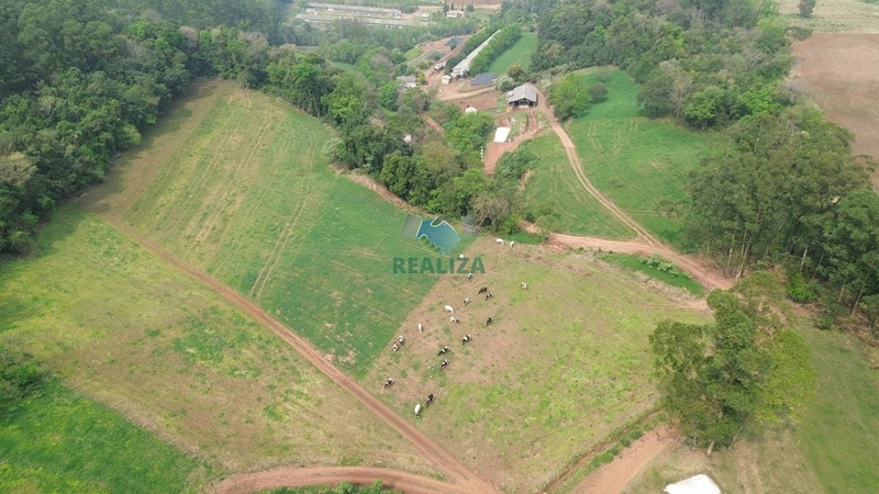 PROPRIEDADE RURAL: 11ª foto da galeria de imagens do imóvel