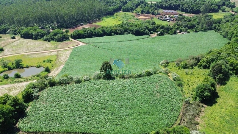 ÁREA DE TERRA: 2ª foto da galeria de imagens do imóvel