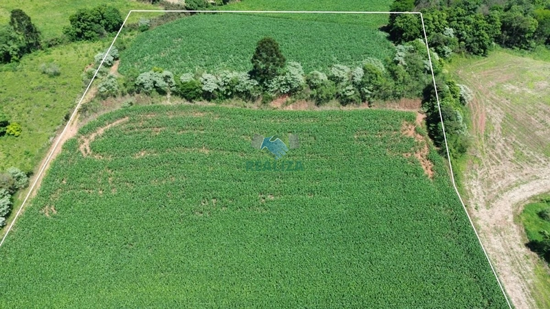 ÁREA DE TERRA: 3ª foto da galeria de imagens do imóvel