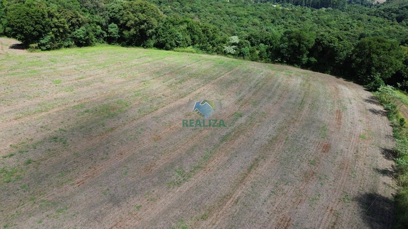 ÁREA DE TERRA: 8ª foto da galeria de imagens do imóvel