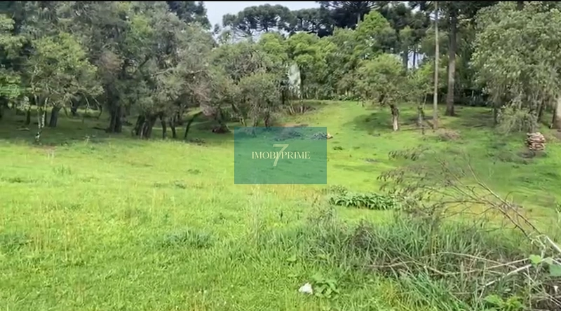 TERRENO ALMIRANTE  TAMANDARÉ: 4ª foto da galeria de imagens do imóvel