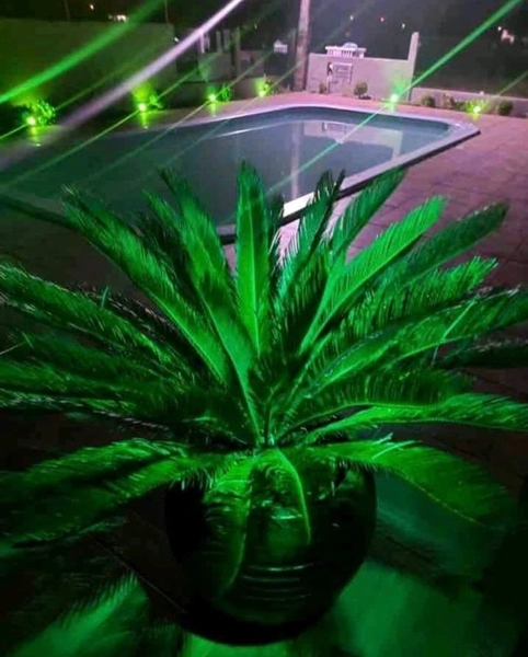 Ótima casa com piscina: 13ª foto da galeria de imagens do imóvel