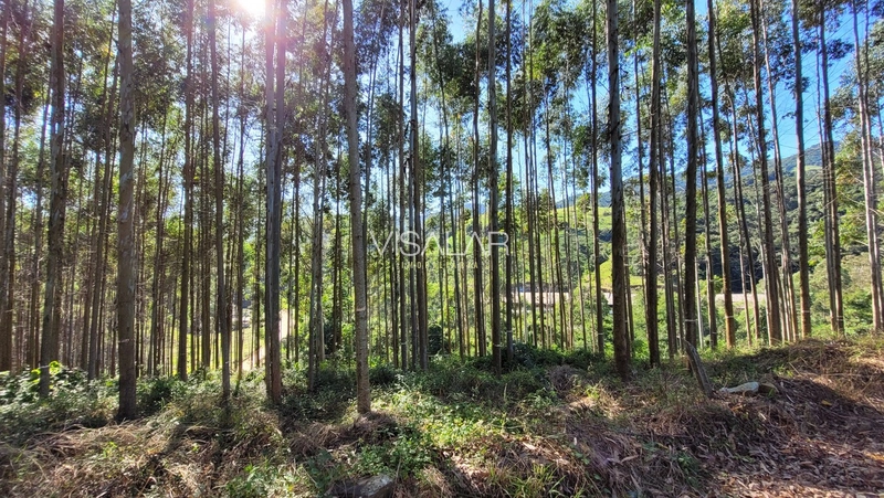 Chácara a venda - São José - Armazém-SC: 5ª foto da galeria de imagens do imóvel