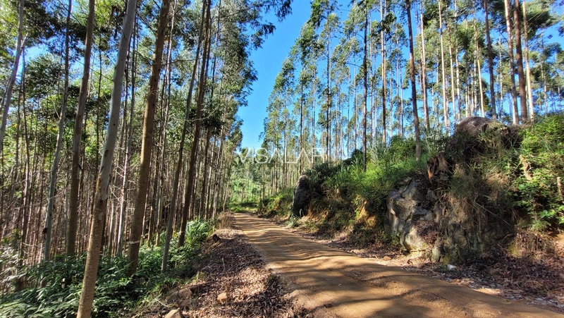 Chácara a venda - São José - Armazém-SC: 2ª foto da galeria de imagens do imóvel