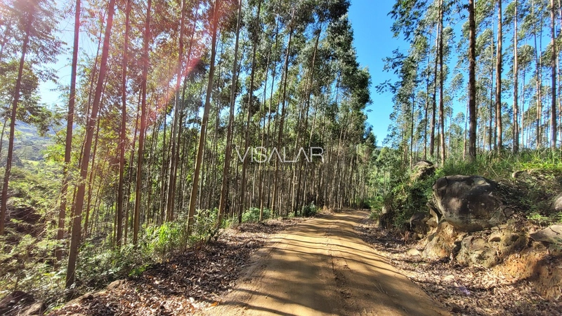 Chácara a venda - São José - Armazém-SC: 1ª foto da galeria de imagens do imóvel