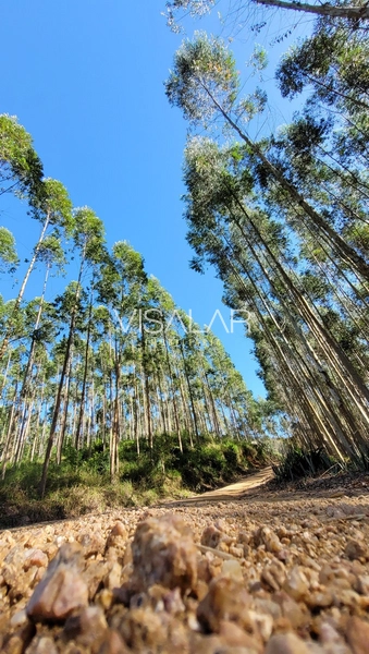 Chácara a venda - São José - Armazém-SC: 12ª foto da galeria de imagens do imóvel