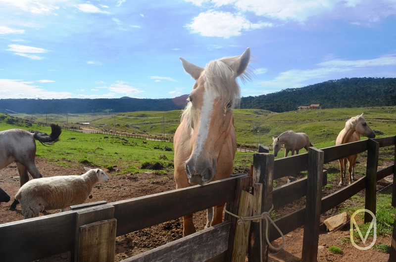 Lote a Venda no Condomínio Altos da Serra em Bom Jardim-SC: 43ª foto da galeria de imagens do imóvel