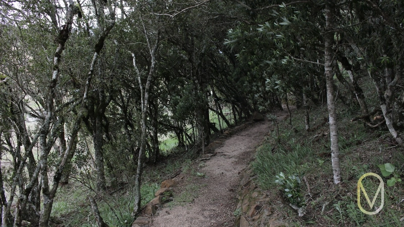 Lote a Venda no Condomínio Altos da Serra em Bom Jardim-SC: 70ª foto da galeria de imagens do imóvel