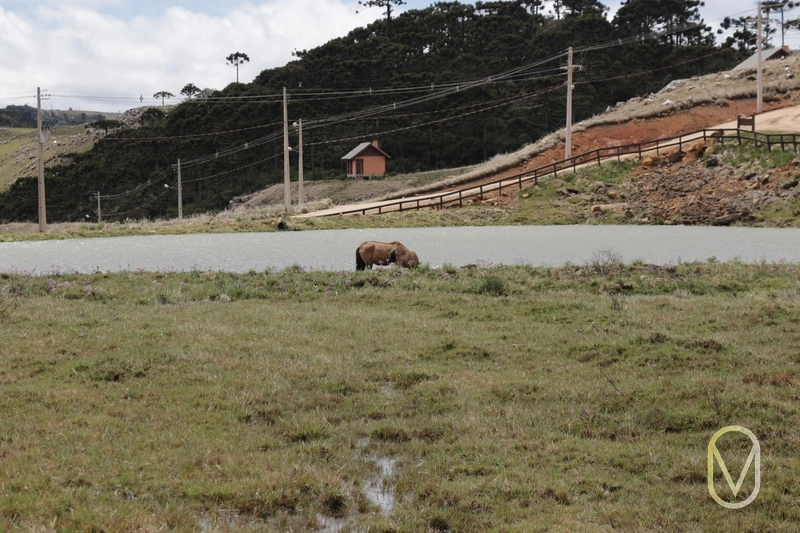 Lote a Venda no Condomínio Altos da Serra em Bom Jardim-SC: 75ª foto da galeria de imagens do imóvel