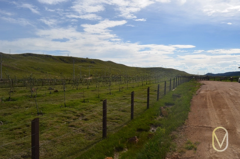 Lote a Venda no Condomínio Altos da Serra em Bom Jardim-SC: 53ª foto da galeria de imagens do imóvel