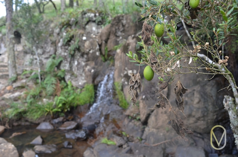Lote a Venda no Condomínio Altos da Serra em Bom Jardim-SC: 35ª foto da galeria de imagens do imóvel