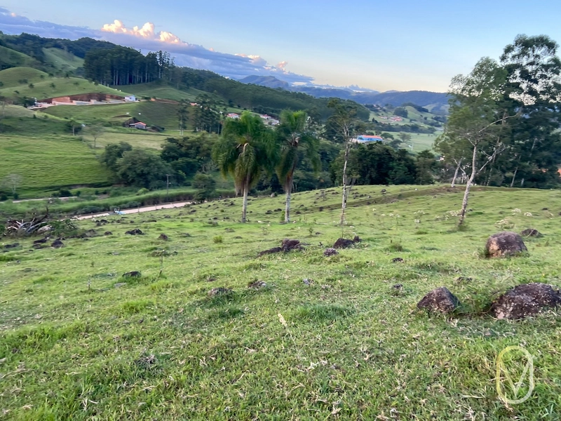 Terreno de 3.4 hectares á Venda em Armazém-SC: 22ª foto da galeria de imagens do imóvel