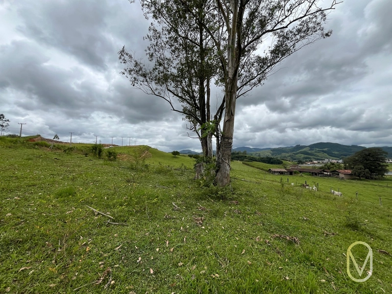 Terreno de 3 hectares á vendo em Armazém-SC: 13ª foto da galeria de imagens do imóvel