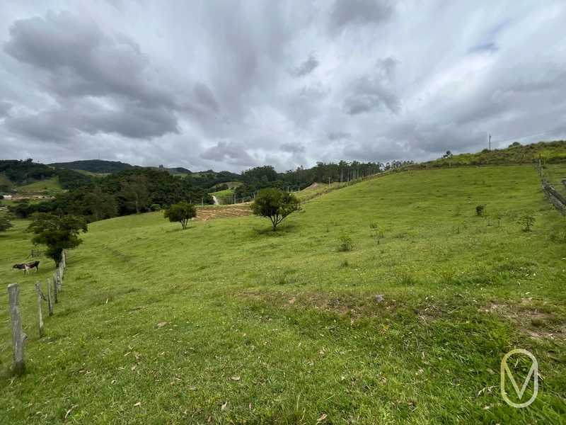 Terreno de 3 hectares á vendo em Armazém-SC: 9ª foto da galeria de imagens do imóvel