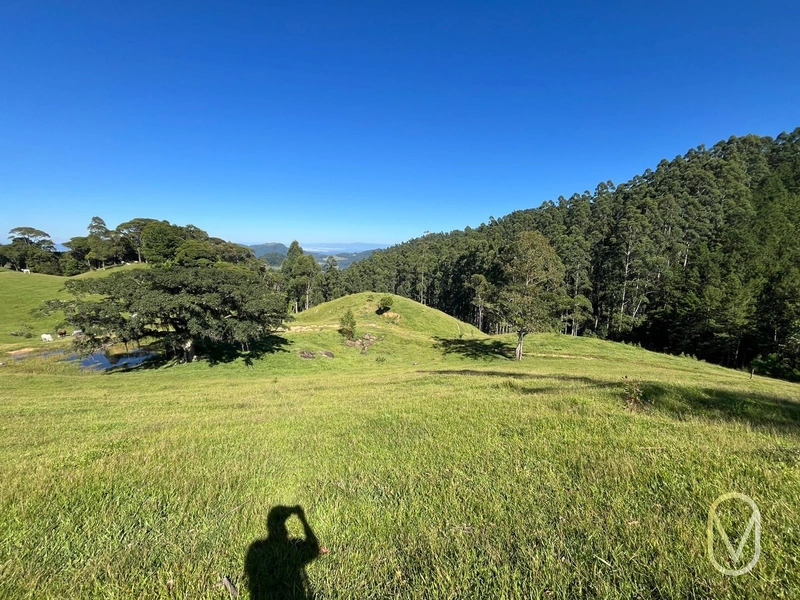 Terreno de 31 hectares á Venda em São Martinho-SC: 22ª foto da galeria de imagens do imóvel