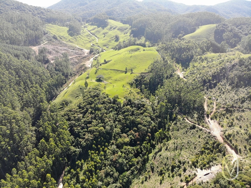 Terreno de 31 hectares á Venda em São Martinho-SC: 6ª foto da galeria de imagens do imóvel