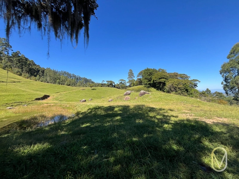 Terreno de 31 hectares á Venda em São Martinho-SC: 16ª foto da galeria de imagens do imóvel