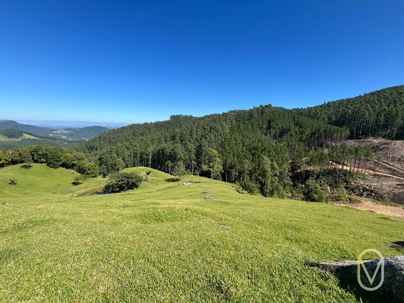 Terreno de 31 hectares á Venda em São Martinho-SC: 37ª foto da galeria de imagens do imóvel