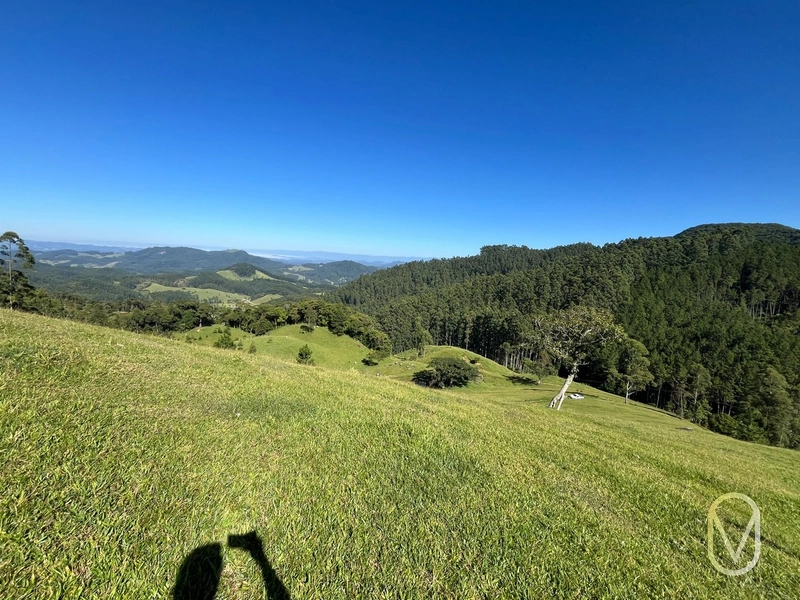 Terreno de 31 hectares á Venda em São Martinho-SC: 24ª foto da galeria de imagens do imóvel