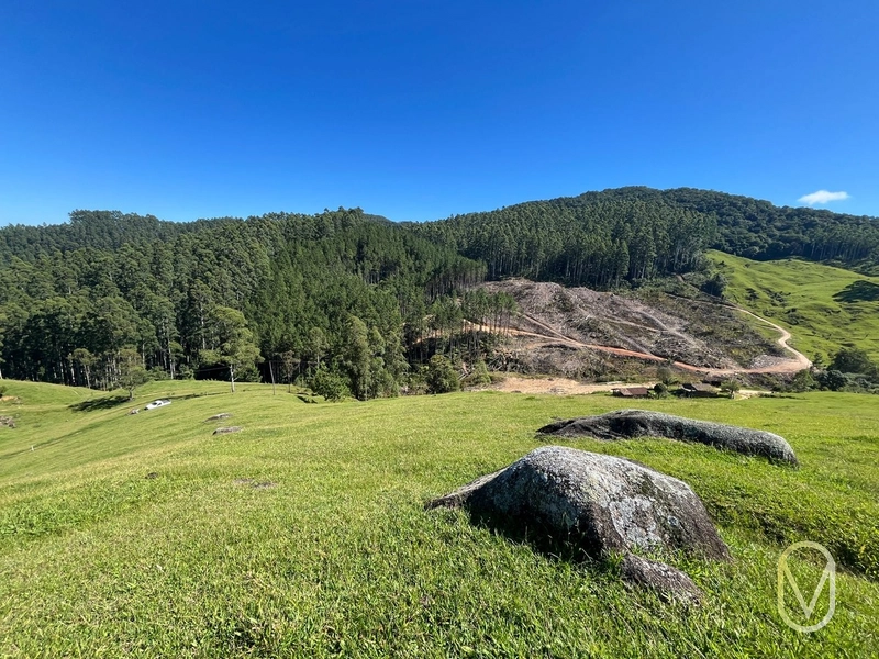 Terreno de 31 hectares á Venda em São Martinho-SC: 36ª foto da galeria de imagens do imóvel