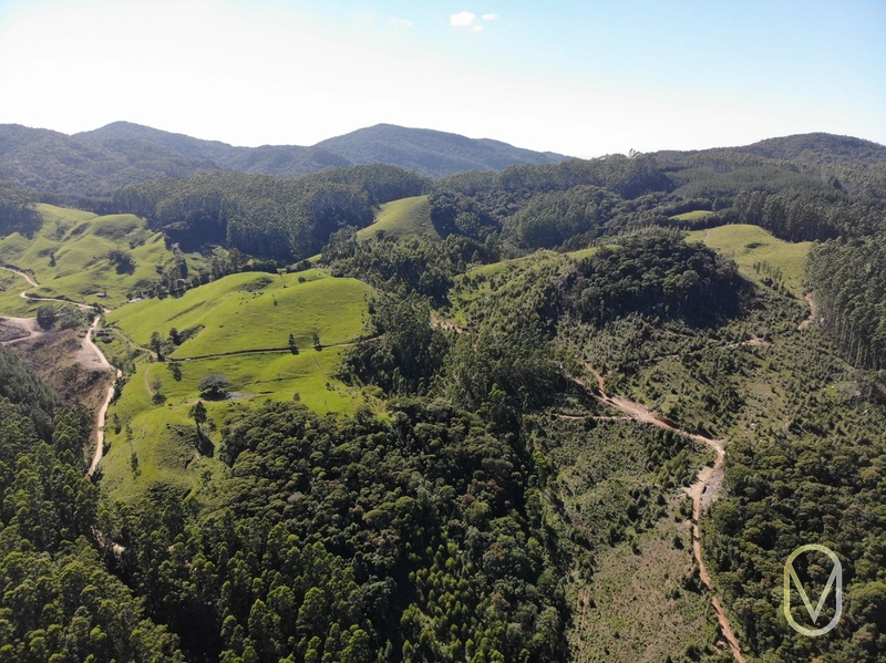 Terreno de 31 hectares á Venda em São Martinho-SC: 8ª foto da galeria de imagens do imóvel