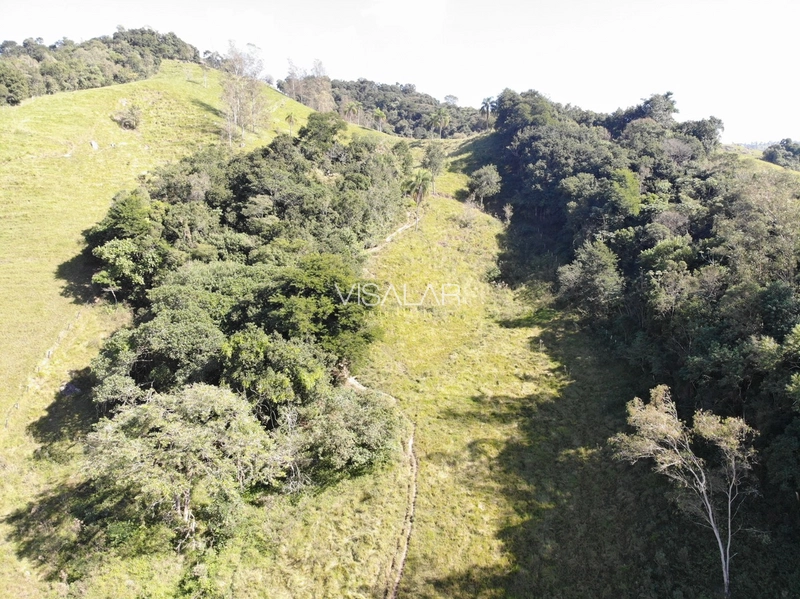 Terreno de 5,9 hectares á no Bairro Barro Vermelho em Gravatal-SC: 6ª foto da galeria de imagens do imóvel