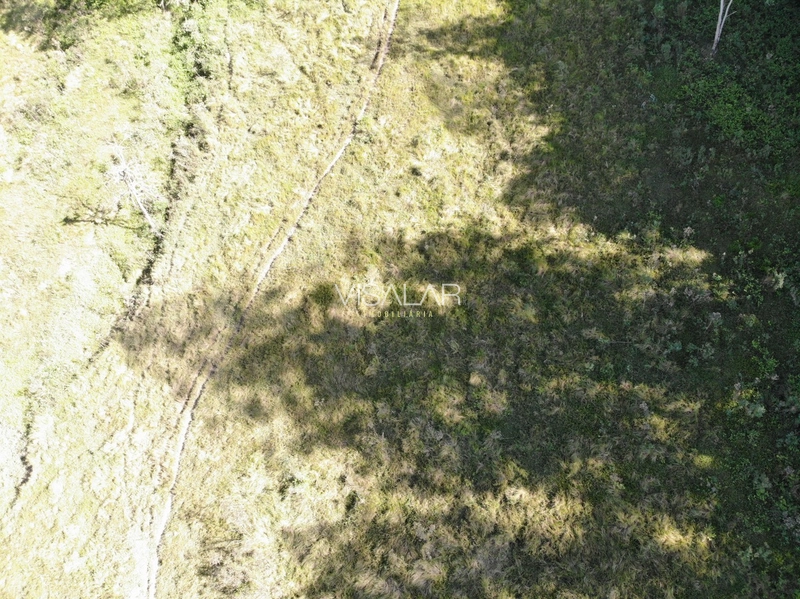 Terreno de 5,9 hectares á no Bairro Barro Vermelho em Gravatal-SC: 7ª foto da galeria de imagens do imóvel