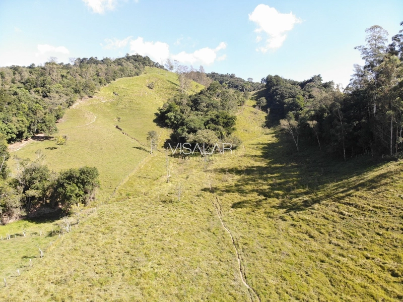 Terreno de 5,9 hectares á no Bairro Barro Vermelho em Gravatal-SC: 8ª foto da galeria de imagens do imóvel
