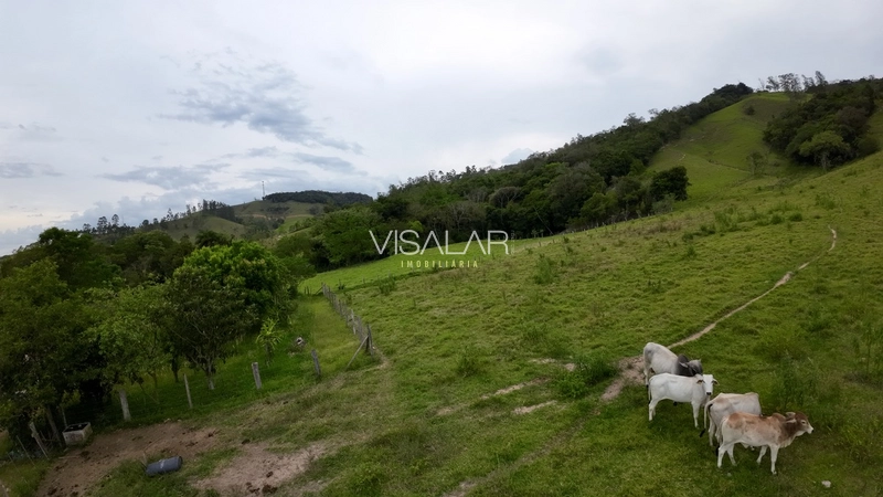 Terreno de 5,9 hectares á no Bairro Barro Vermelho em Gravatal-SC: 15ª foto da galeria de imagens do imóvel