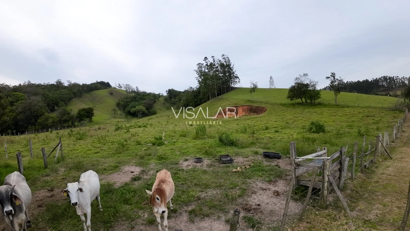 Terreno de 5,9 hectares á no Bairro Barro Vermelho em Gravatal-SC: 13ª foto da galeria de imagens do imóvel