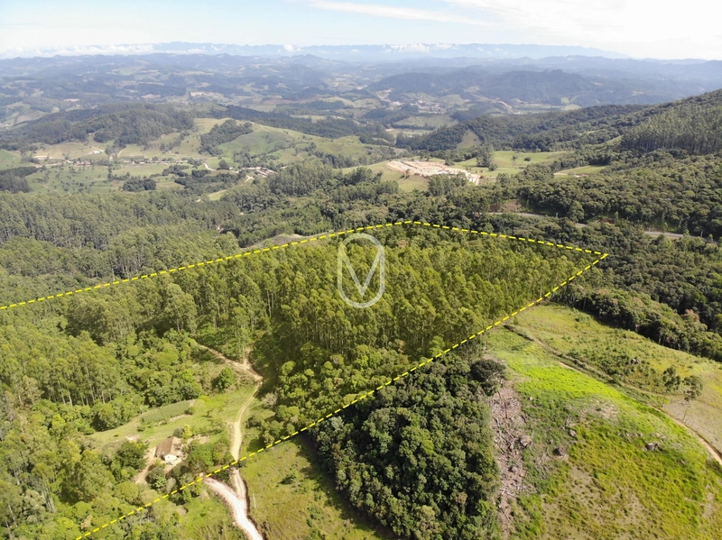Terreno de 23.8 hectares á Venda São Martinho-SC: 2ª foto da galeria de imagens do imóvel