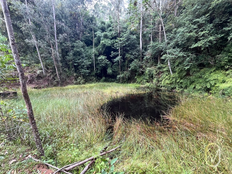 Terreno de 23.8 hectares á Venda São Martinho-SC: 37ª foto da galeria de imagens do imóvel