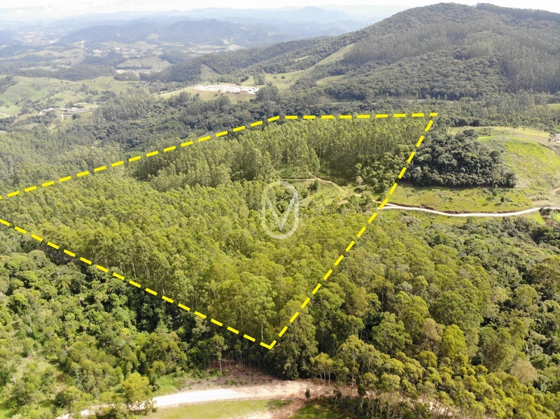 Terreno de 23.8 hectares á Venda São Martinho-SC: 3ª foto da galeria de imagens do imóvel