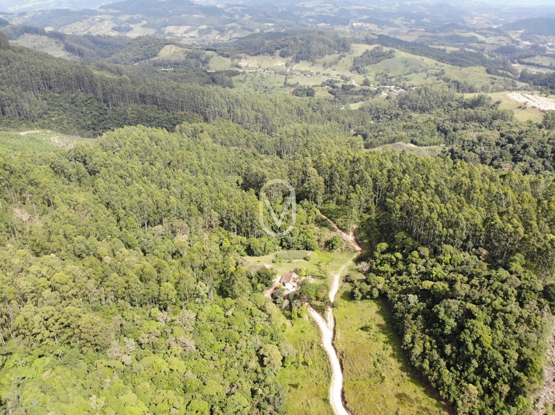 Terreno de 23.8 hectares á Venda São Martinho-SC: 5ª foto da galeria de imagens do imóvel