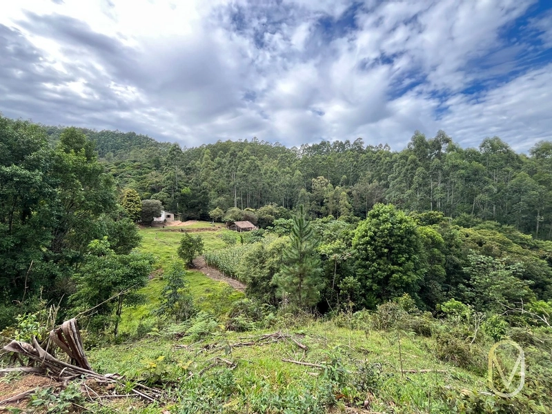Terreno de 23.8 hectares á Venda São Martinho-SC: 53ª foto da galeria de imagens do imóvel